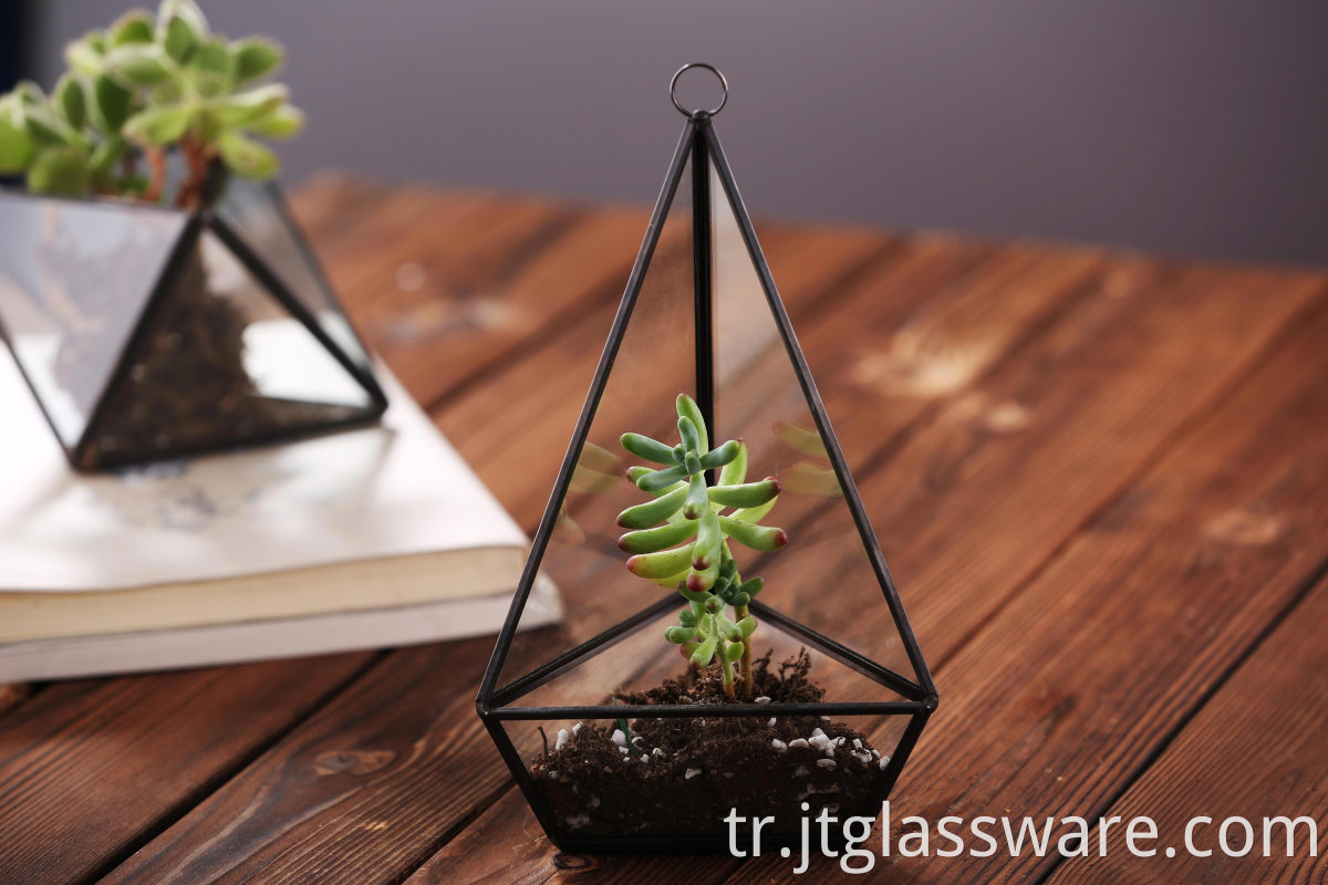  Glass TerrariumHanging Flowerpot
